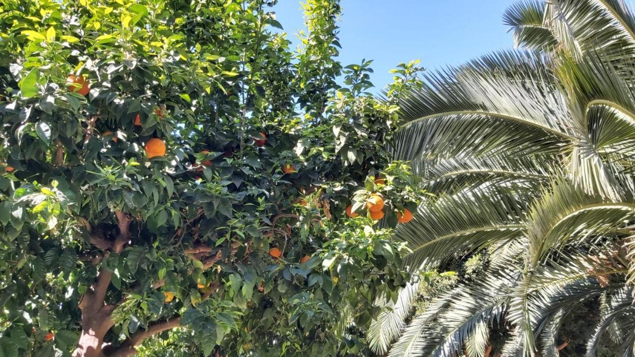 Del Parque Flats Urban Relax Daire Málaga Dış mekan fotoğraf